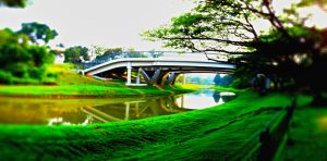 ulu-pandan-river-singapore