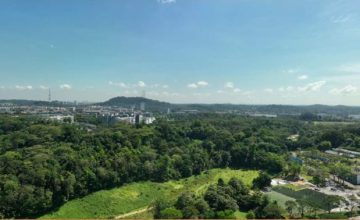 pinetree-hill-north-facing-singapore